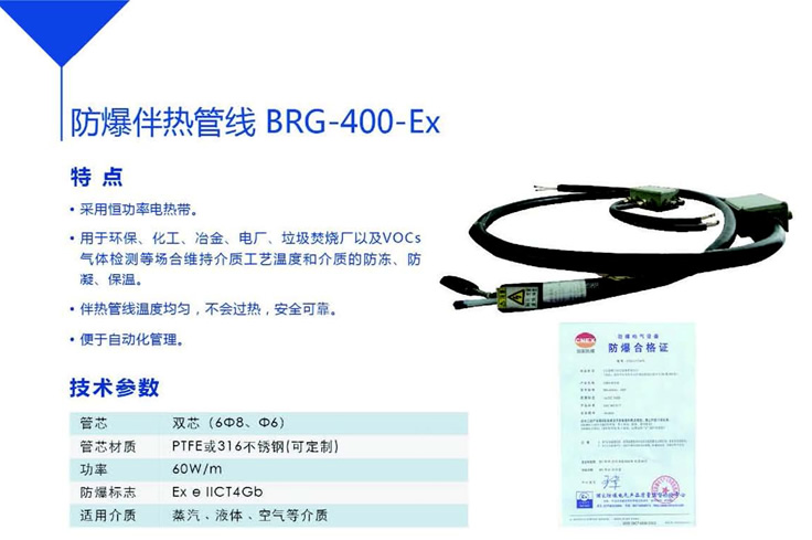 BRG-400-Ex.jpg